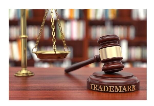 How Does the Trademark Registration Process Work_